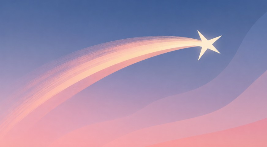 Reinvention of STARS for the Non-profit&nbsp;Sector